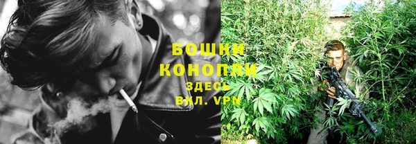твердый Сатка
