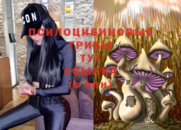 твердый Сатка