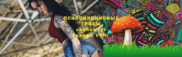 твердый Сатка