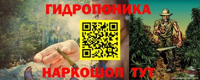 ECSTASY Кандалакша