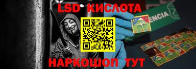 твердый Камышлов