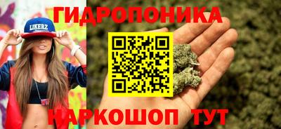 твердый Камышлов